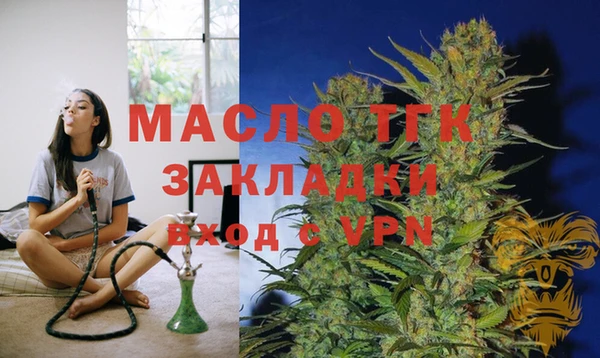 молекула духа Арсеньев