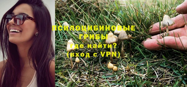 молекула духа Арсеньев