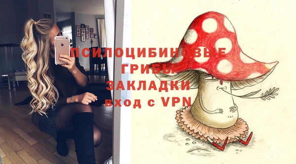 спайс Медвежьегорск
