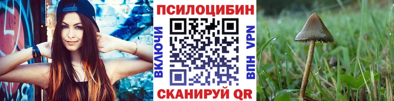 Псилоцибиновые грибы Psilocybine cubensis Межгорье